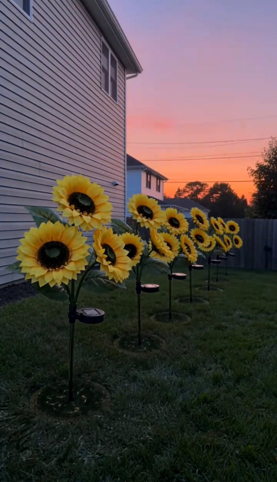Garden photo shared by Daniel Wong