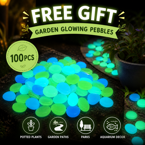 100pcs Garden Glow Pebbles